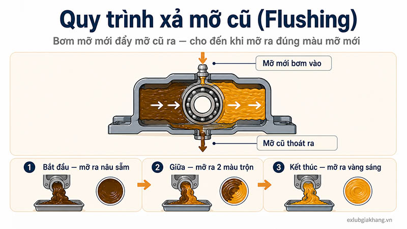 Quy trình xả mỡ cũ